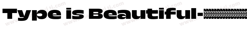 Type is Beautiful字体转换